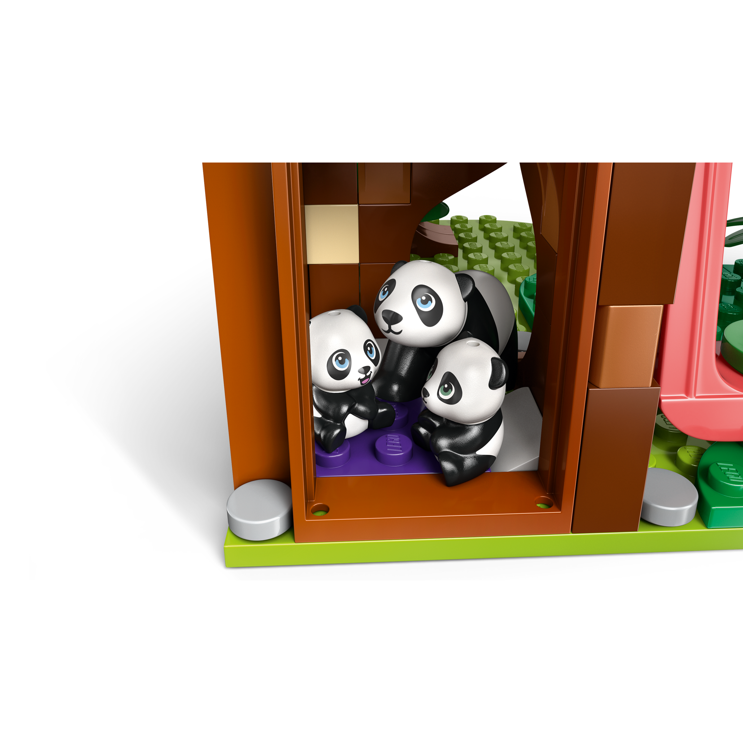 Panda Sanctuary Animal Care - Image 6