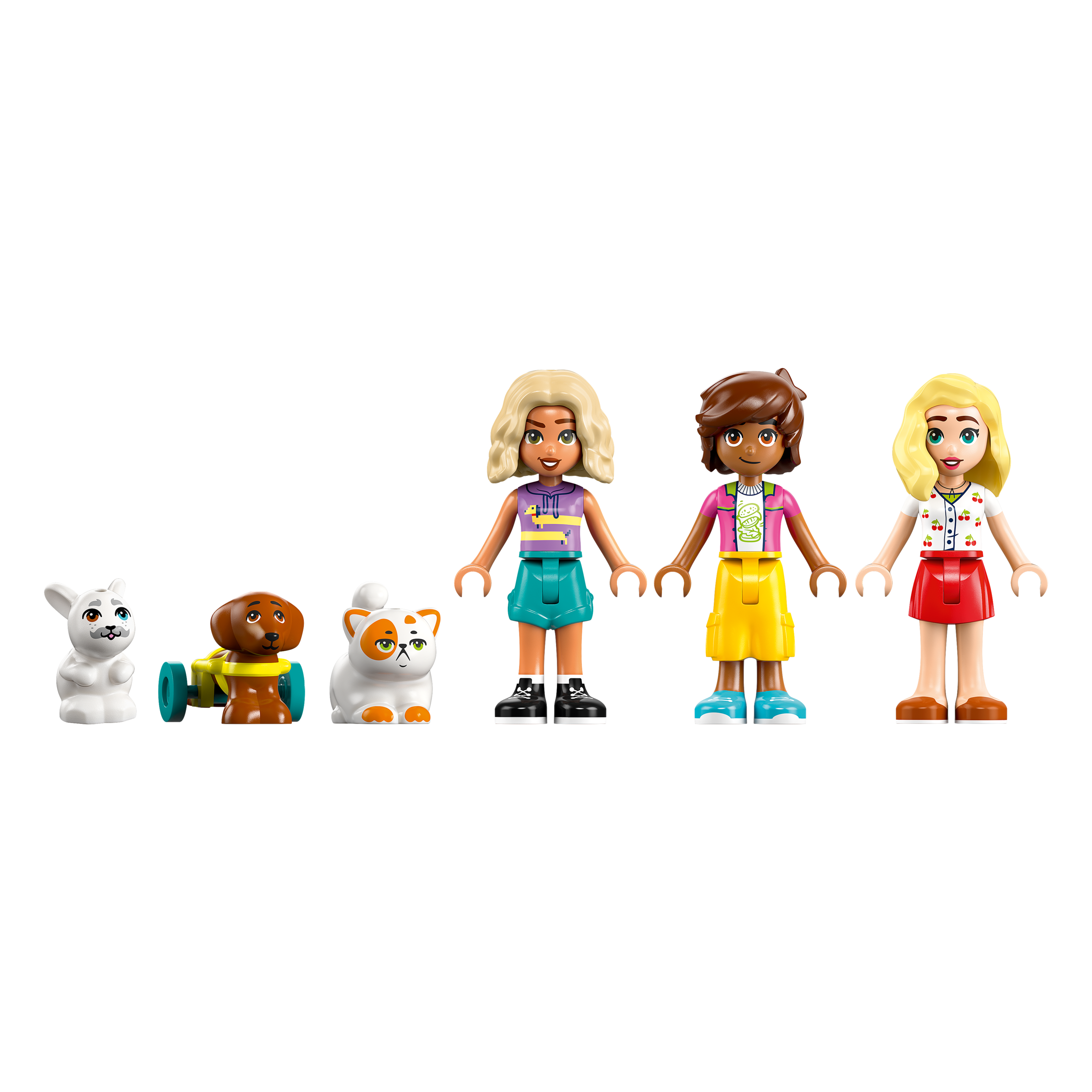 Pet Accessories Shop - Image 9