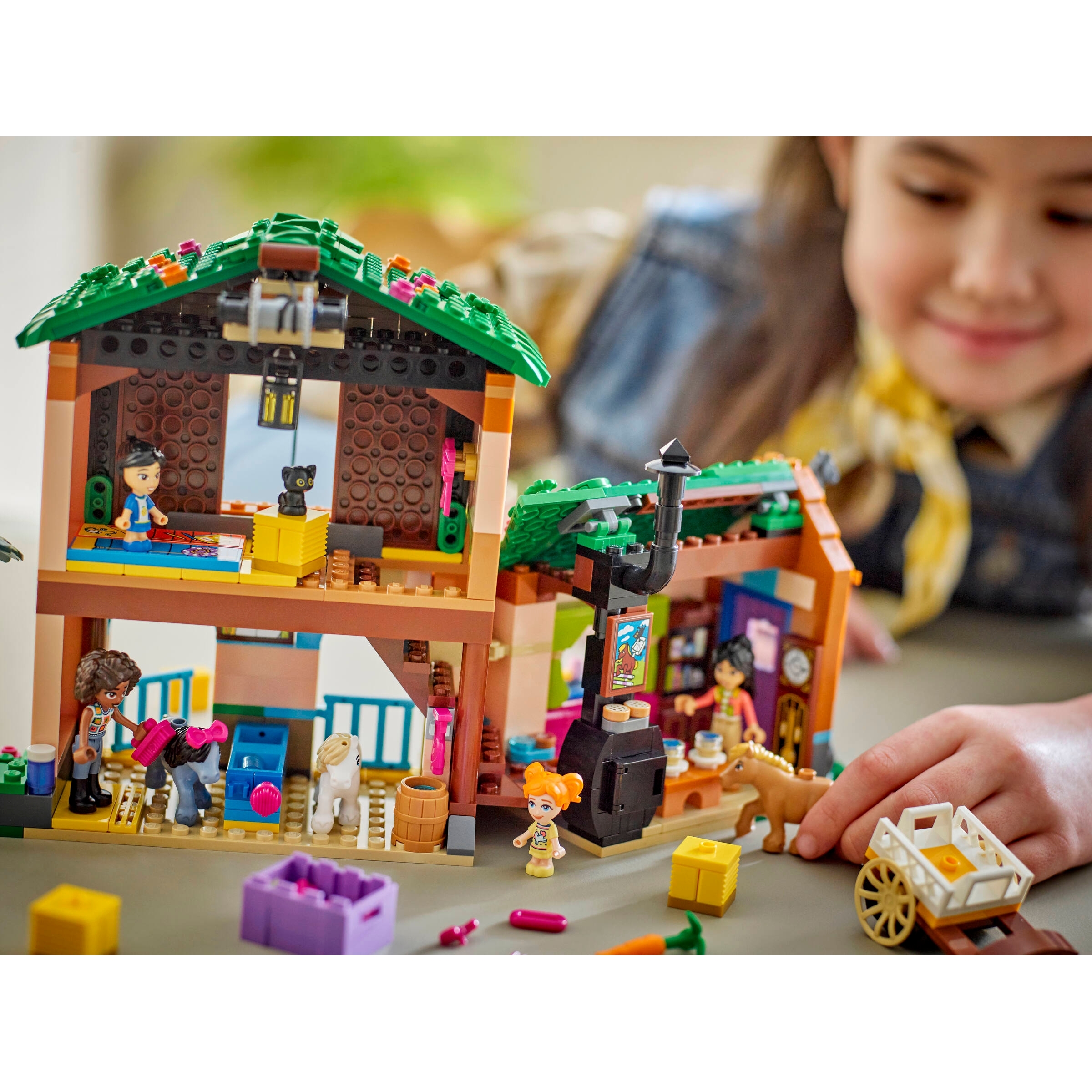 Pony Ranch & Stable - Image 8