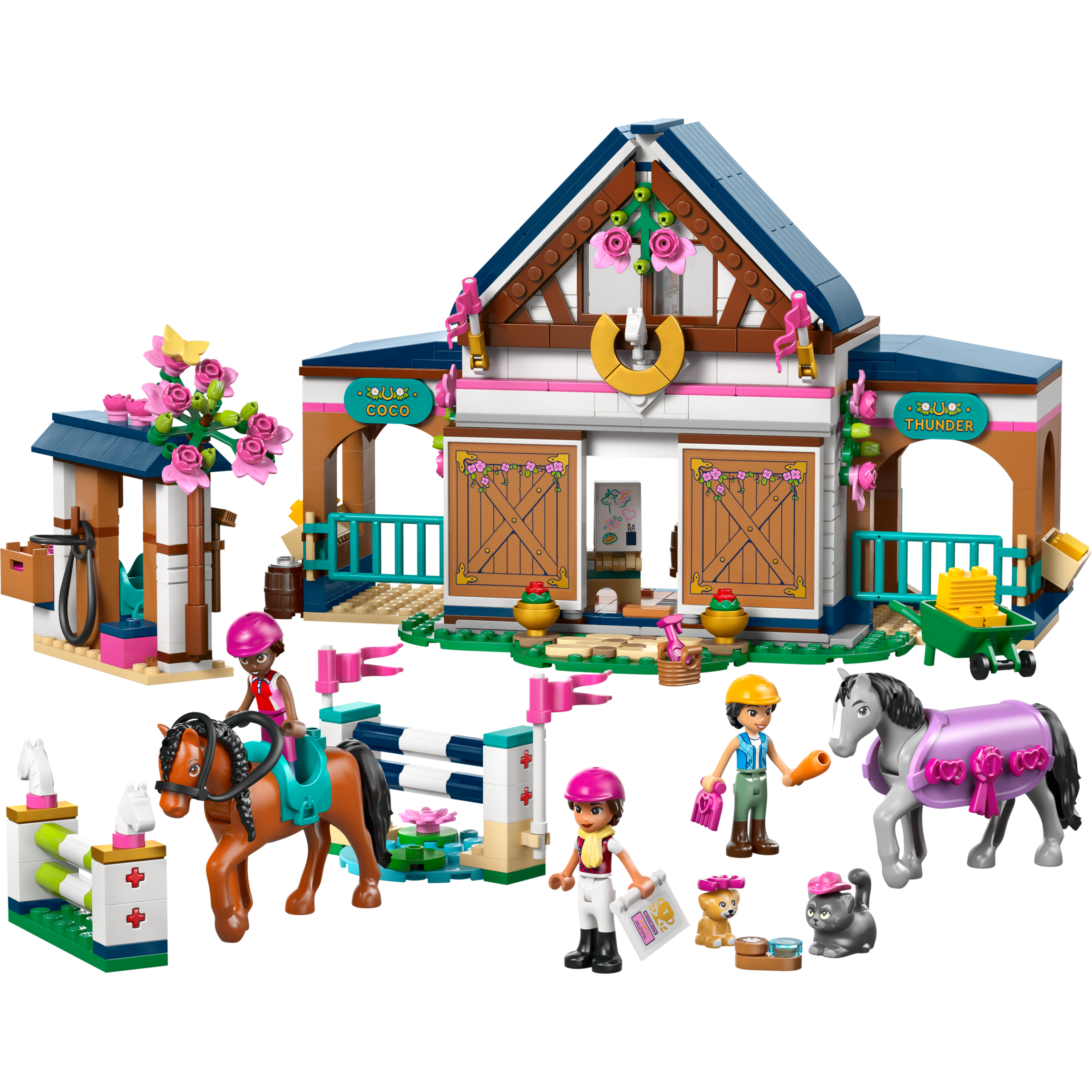 Horse Stable And Riding Academy