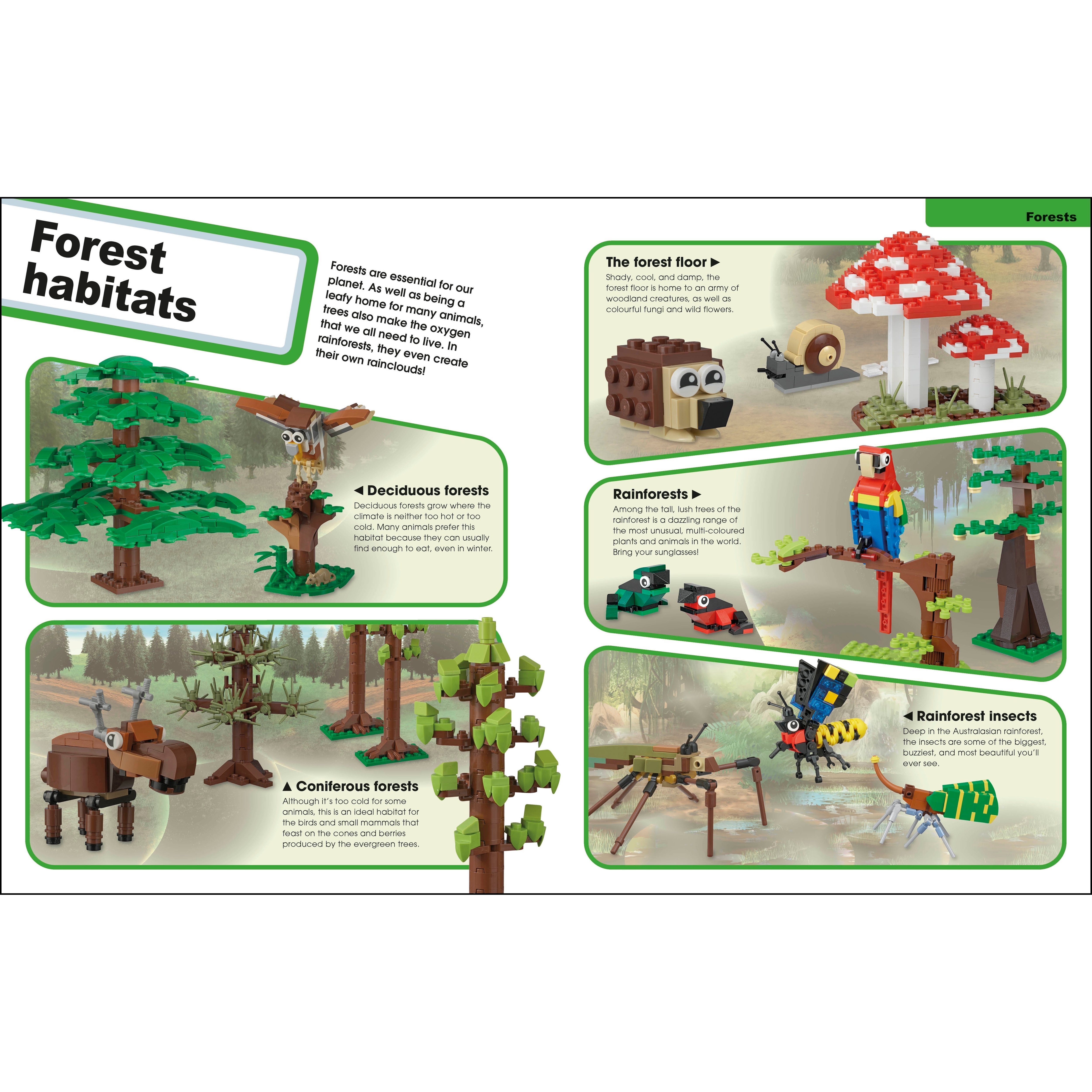Super Nature Book - Image 4