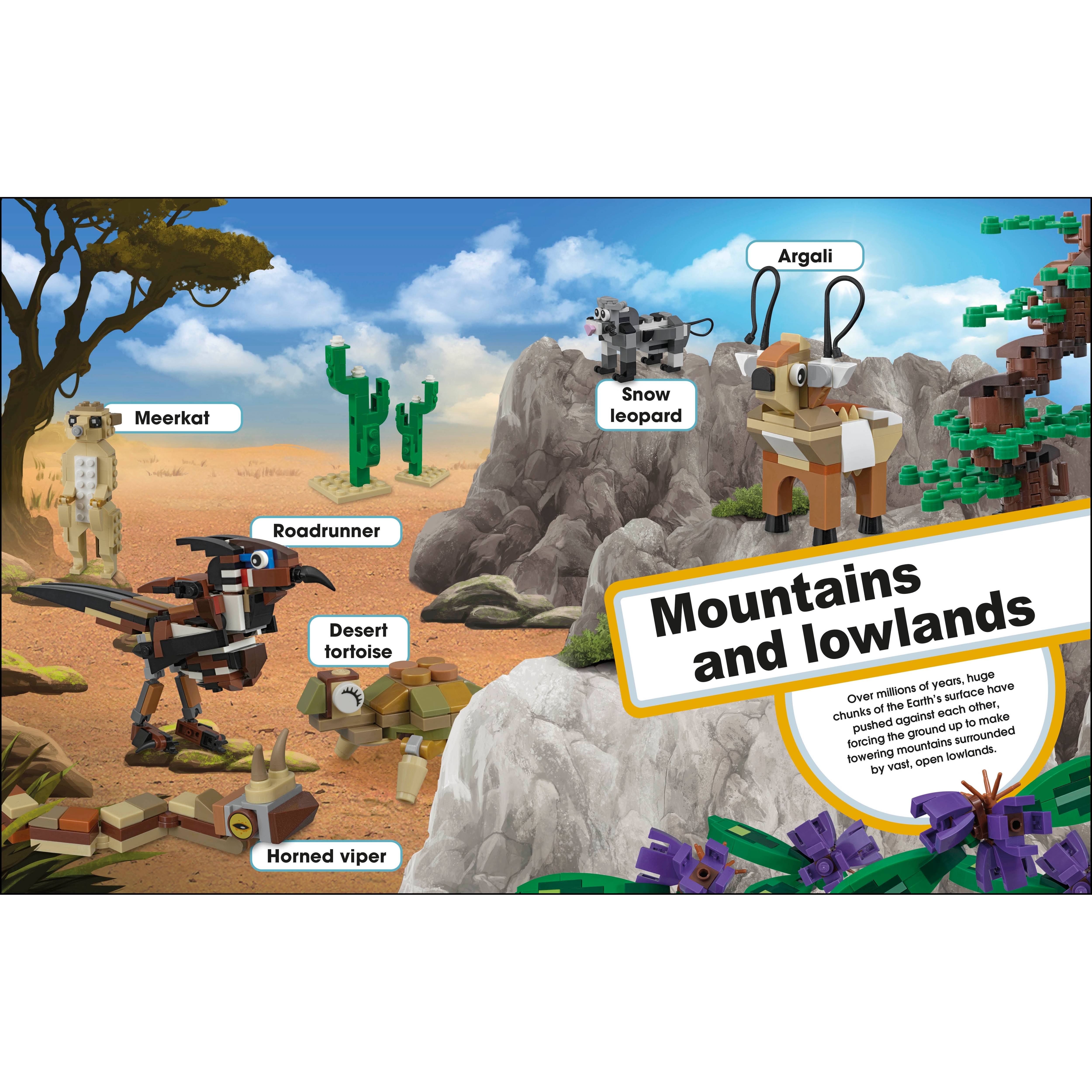 Super Nature Book - Image 5