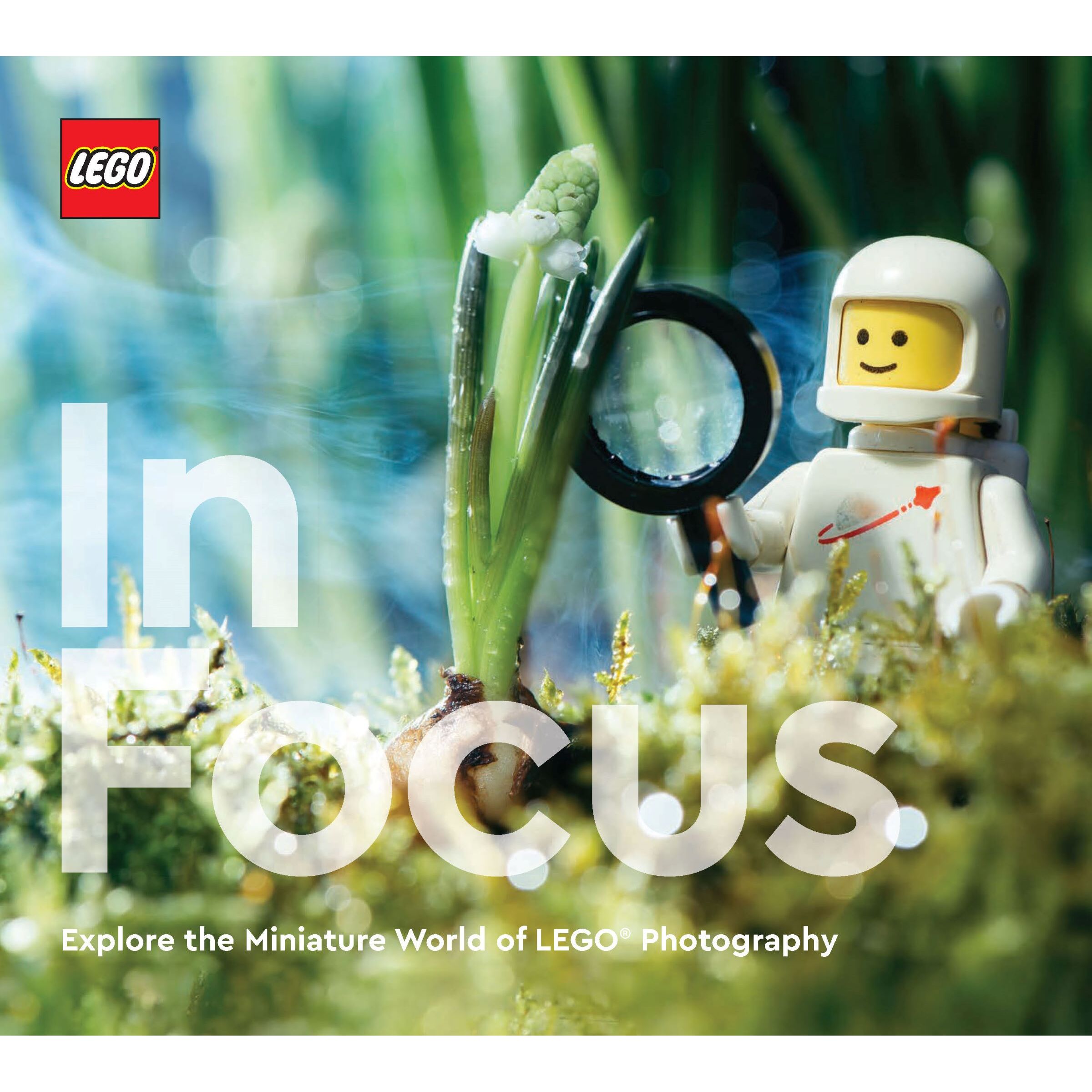 In Focus Book - Image 2