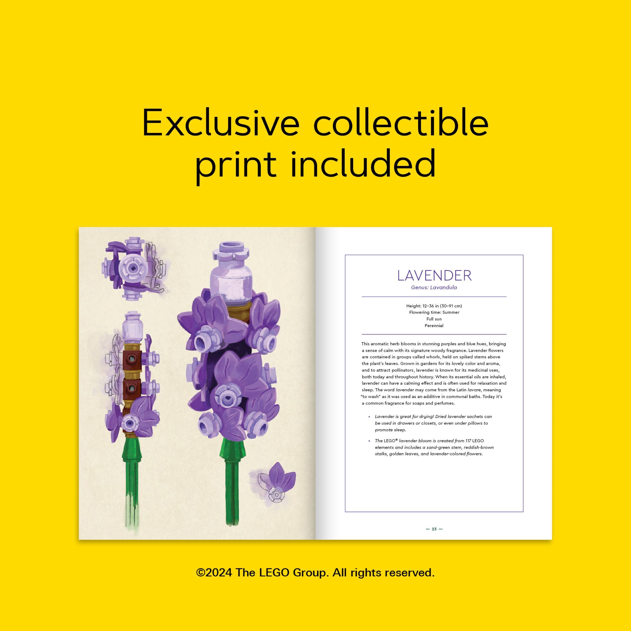Botanical Almanac Book - Image 13