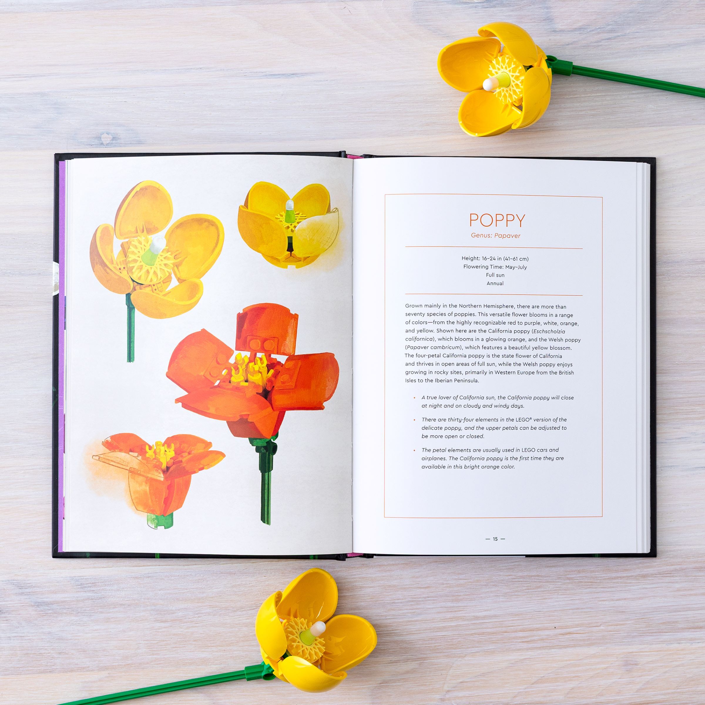 Botanical Almanac Book - Image 4