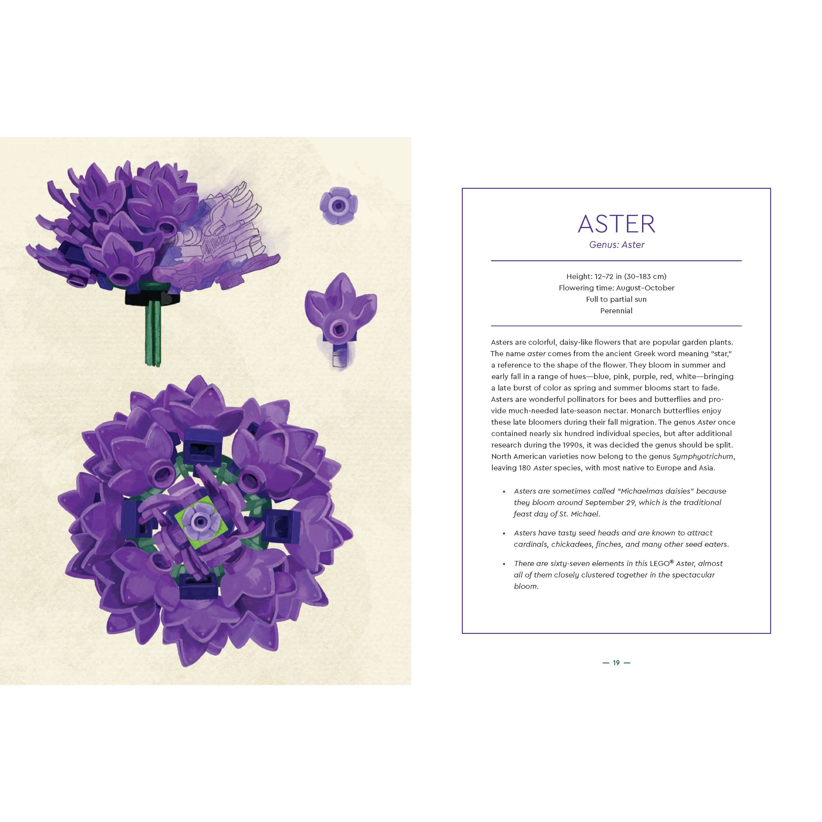 Botanical Almanac Book - Image 5