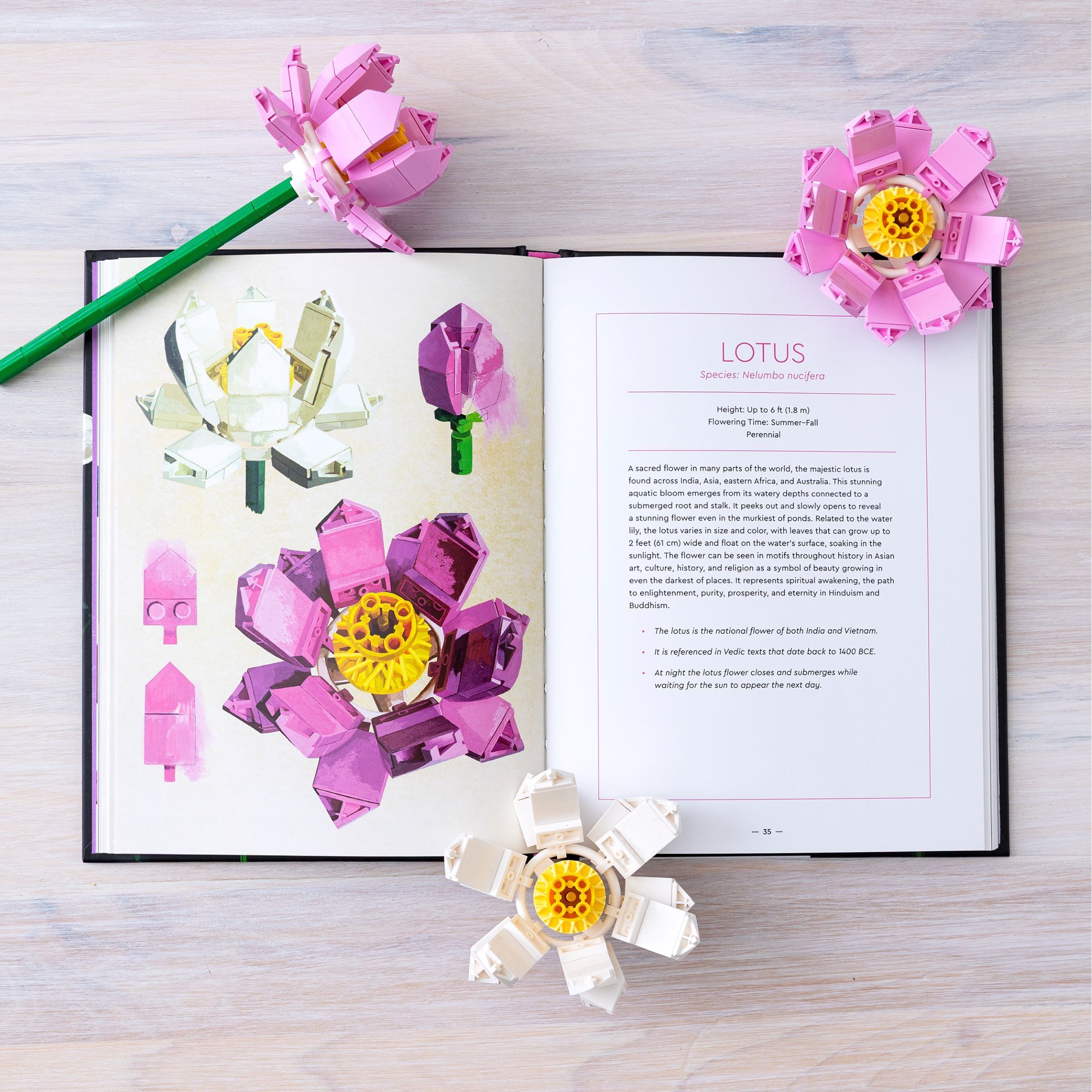 Botanical Almanac Book - Image 7