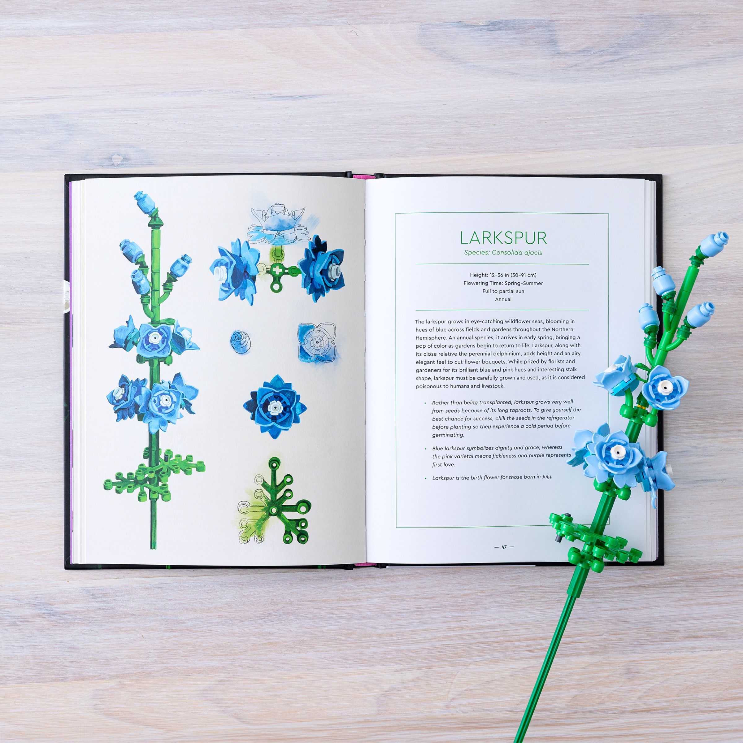Botanical Almanac Book - Image 8