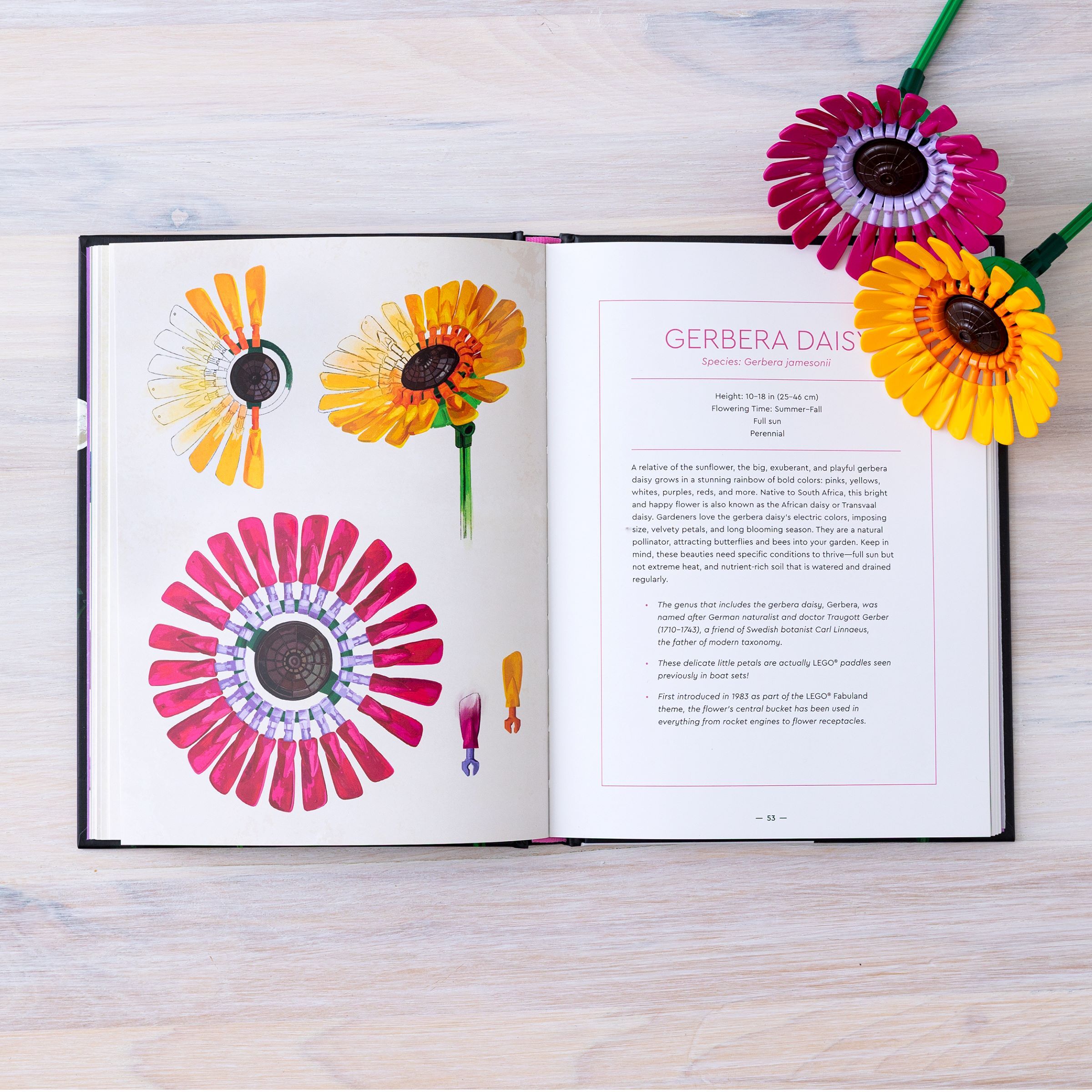 Botanical Almanac Book - Image 9