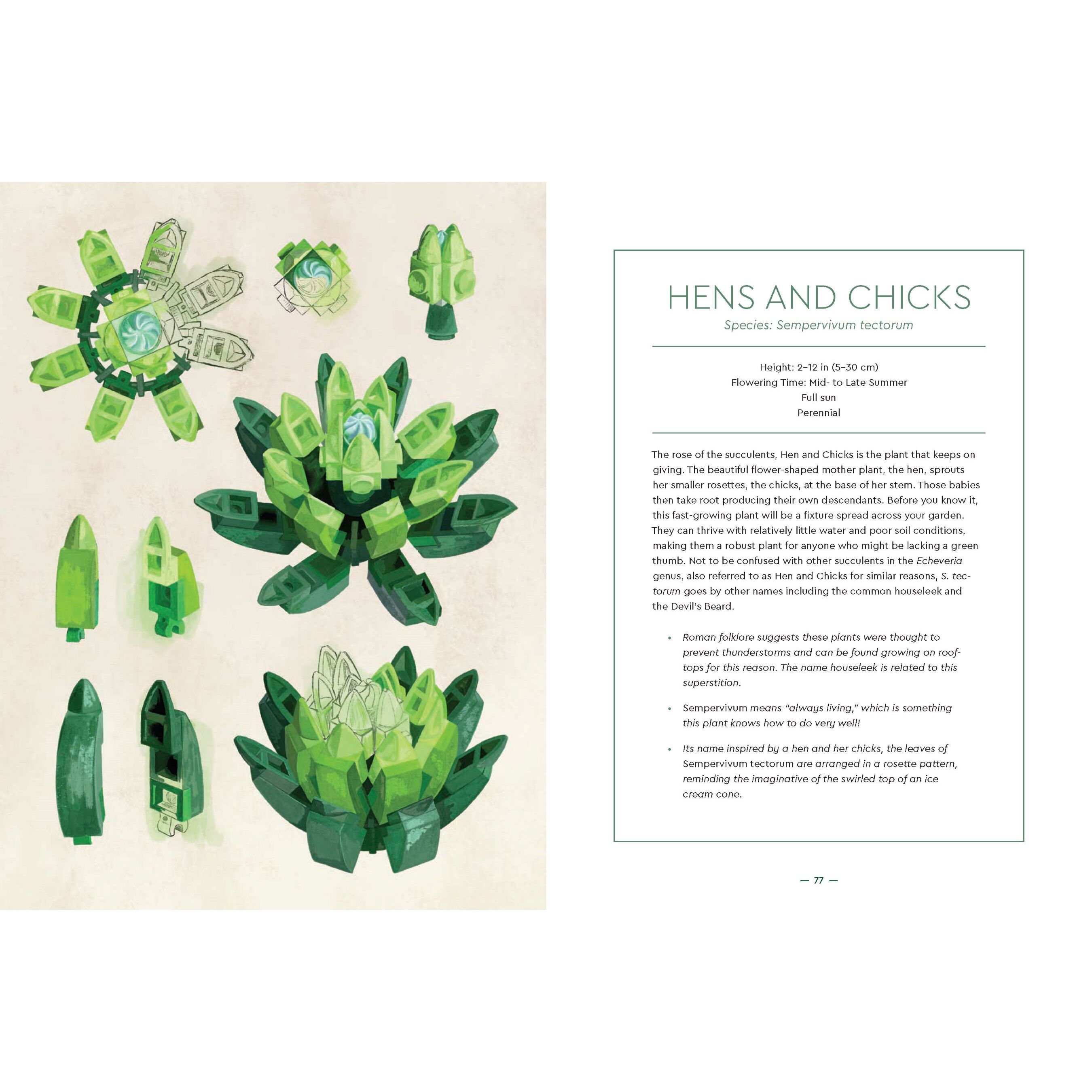 Botanical Almanac Book - Image 10