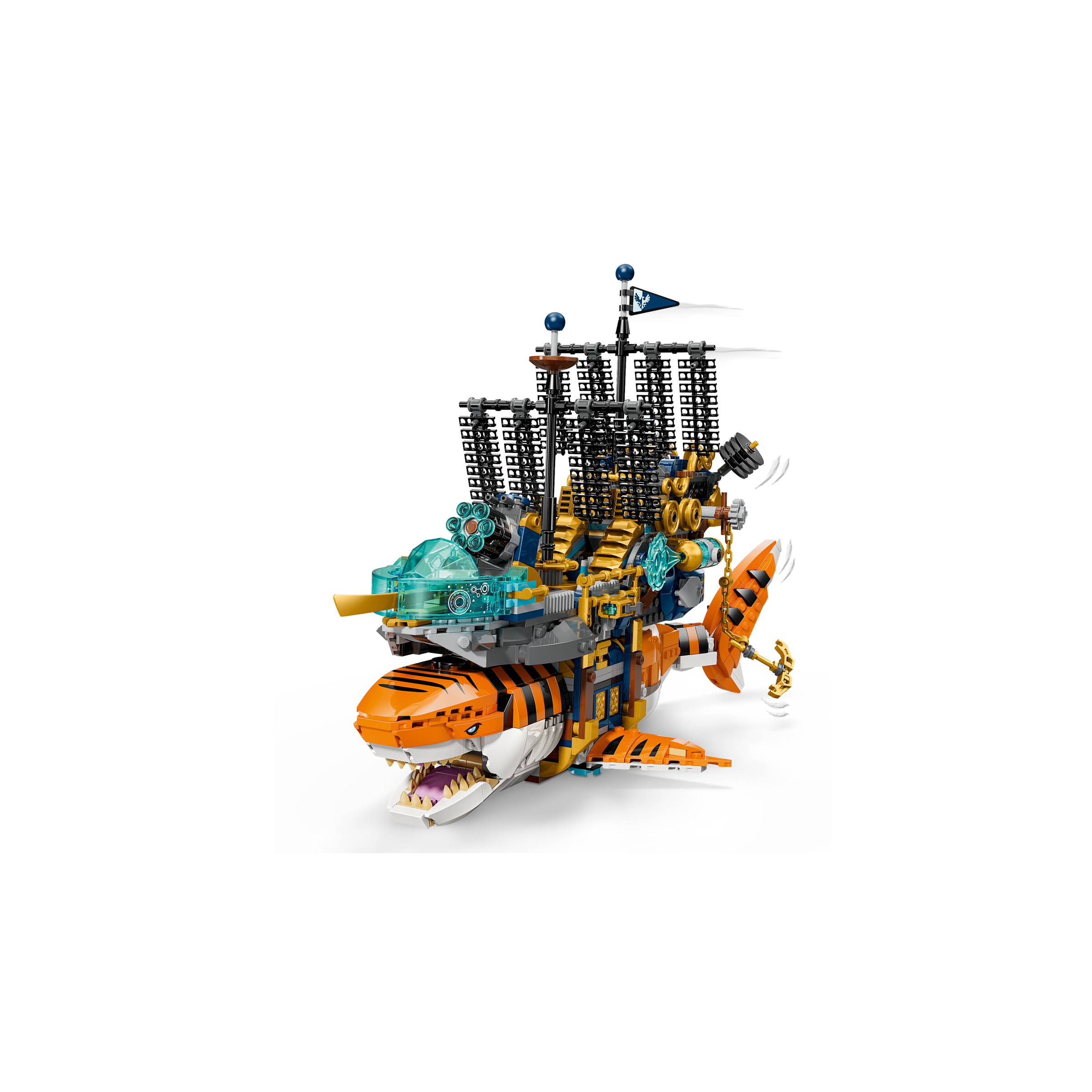 Tiger Shark Tank - Image 5