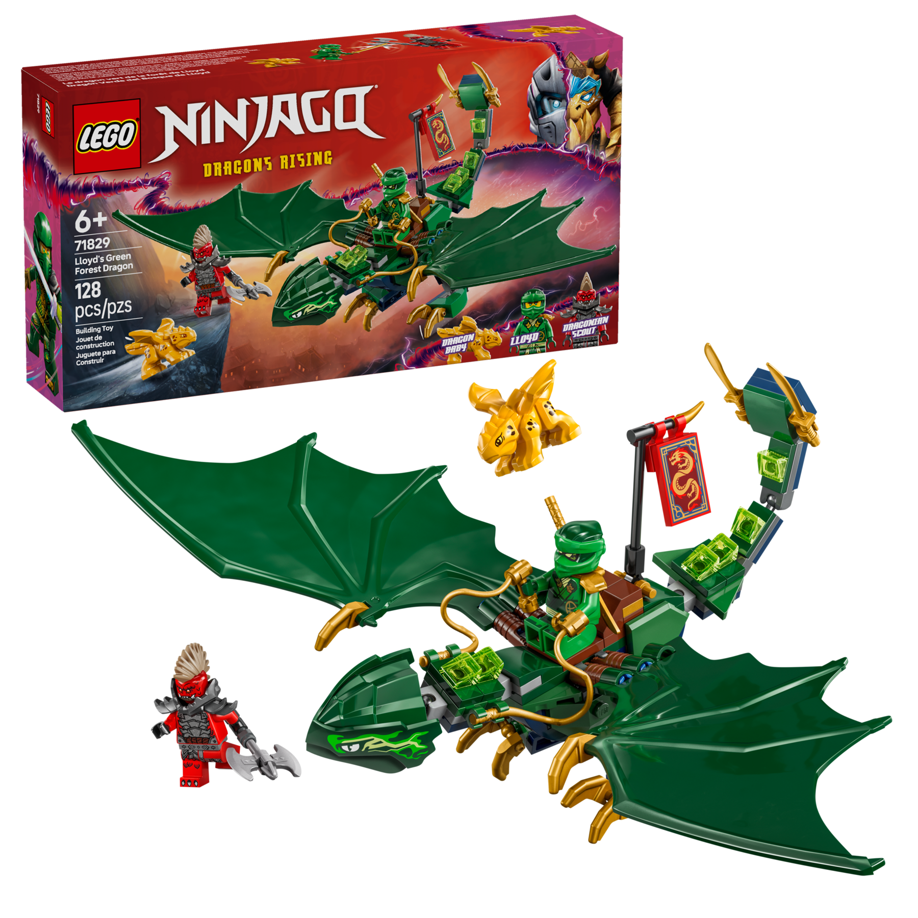 Lloyd's Green Forest Dragon - Image 2