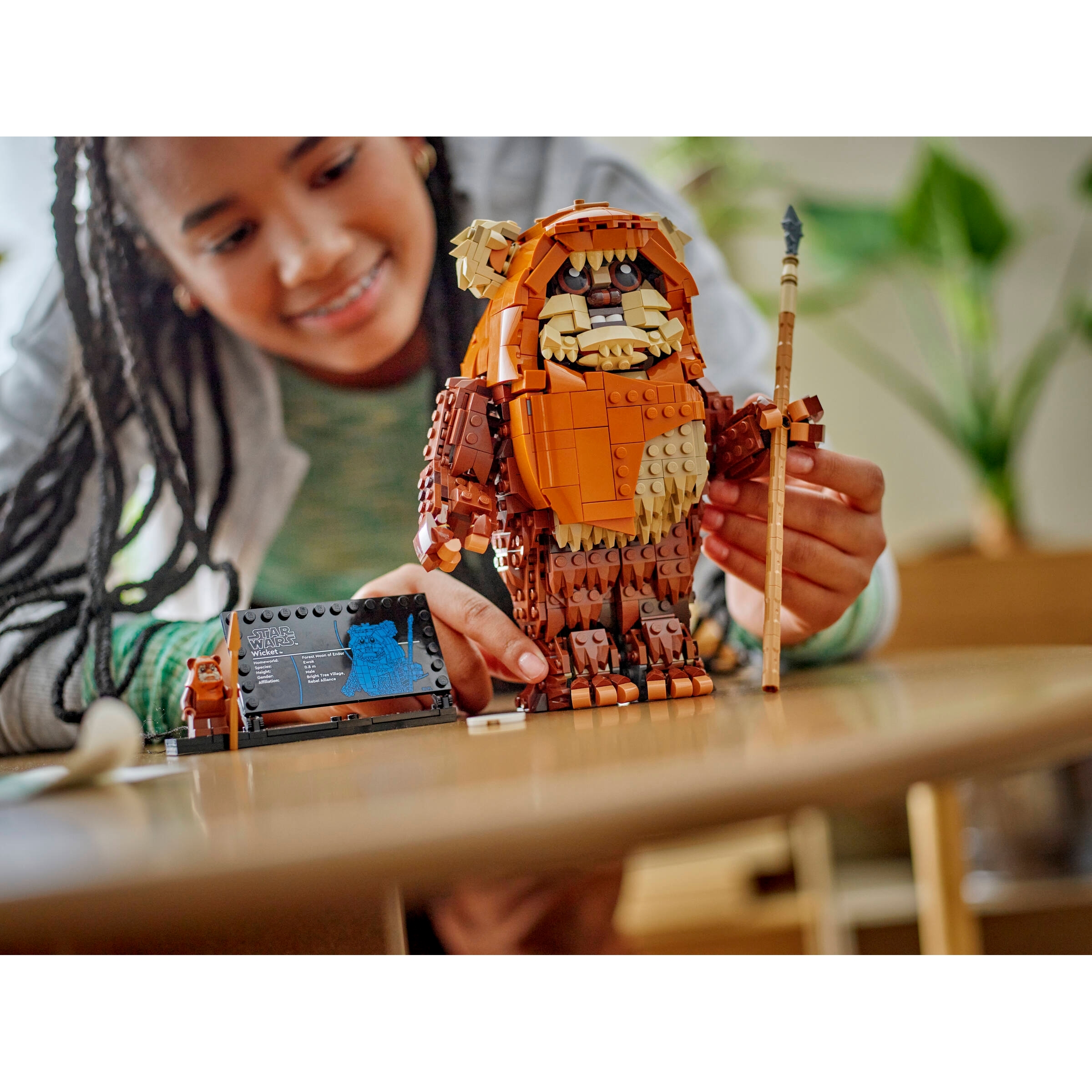 Wicket The Ewok - Image 6
