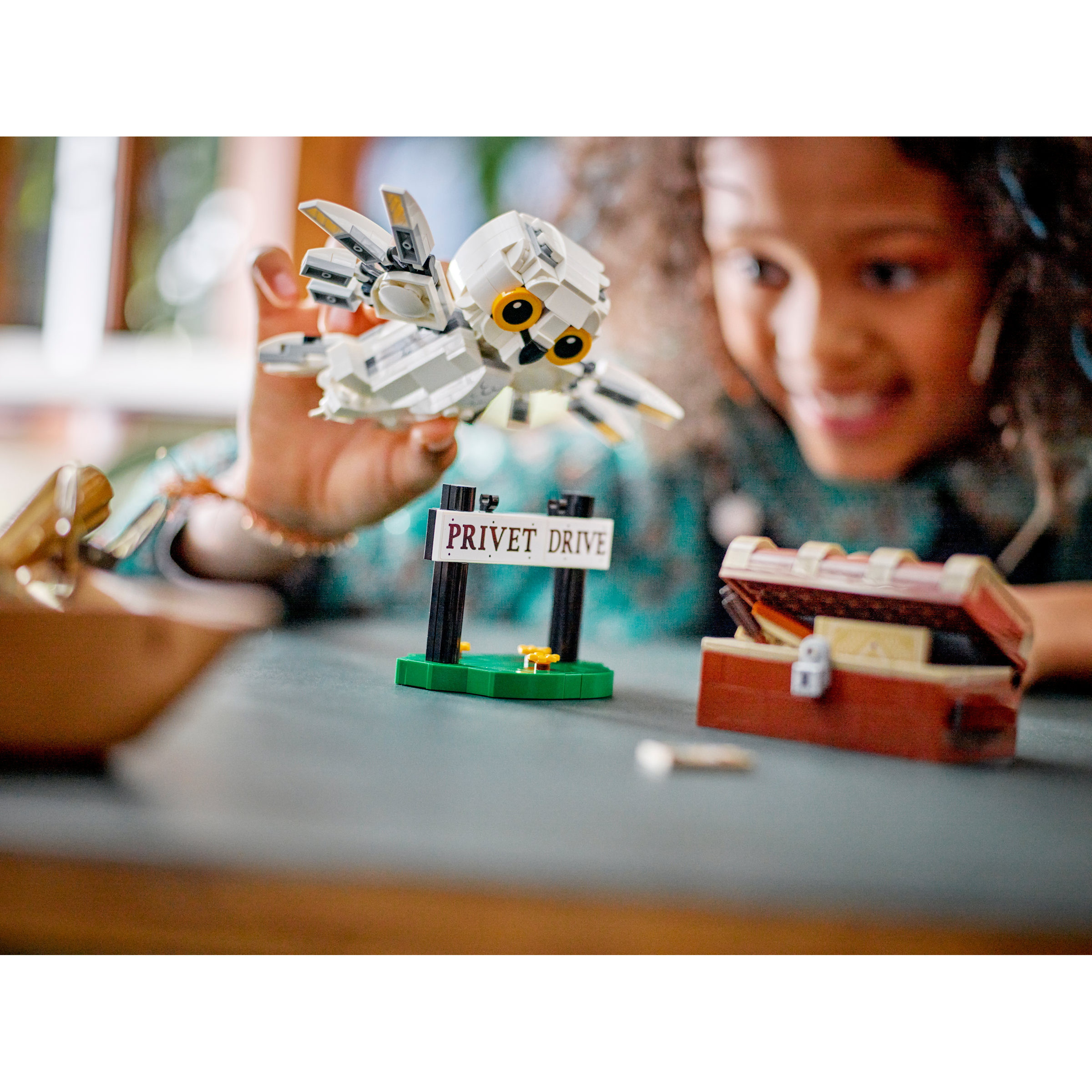 Hedwig At 4 Privet Drive - Image 9