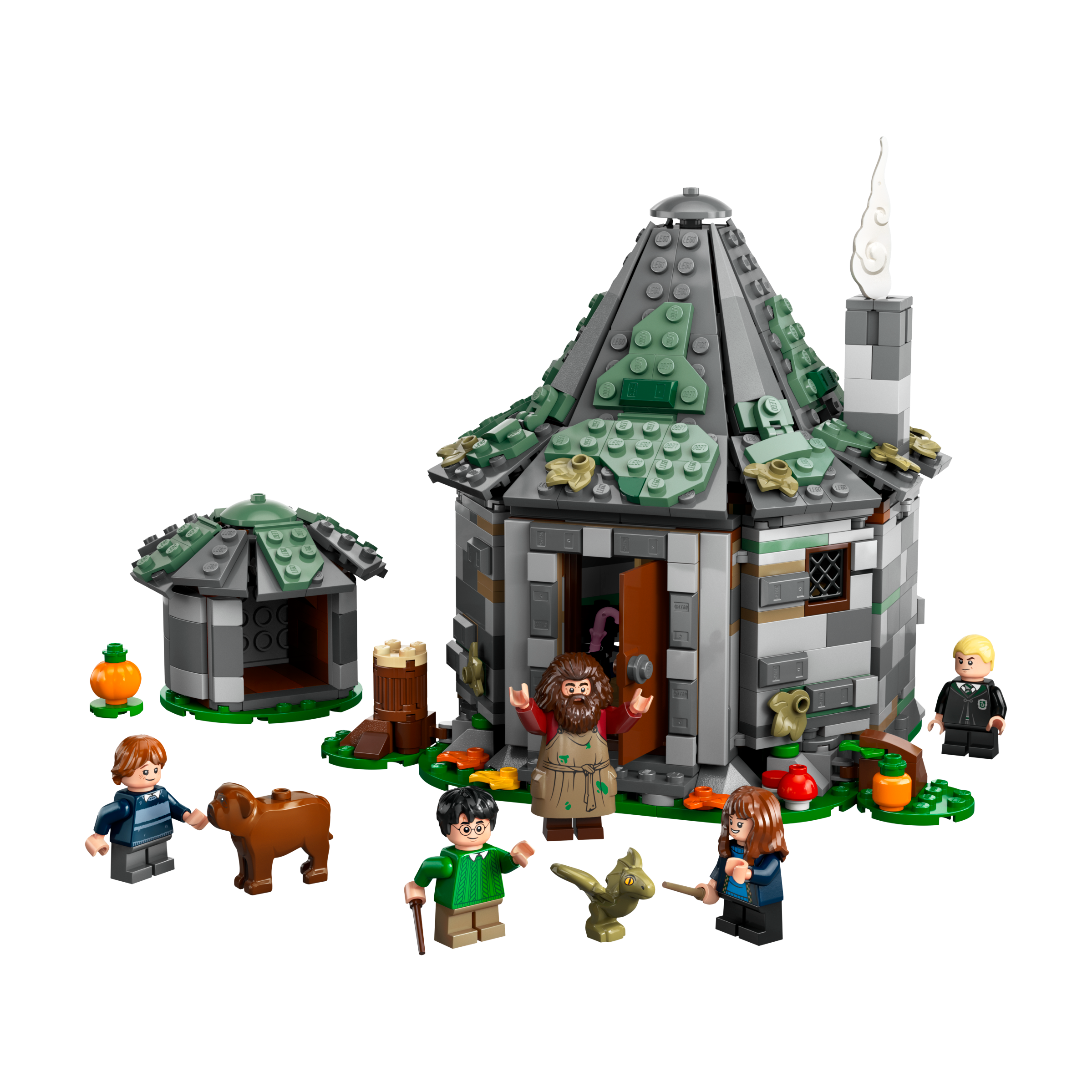 Hagrid's Hut: An Unexpected Visit