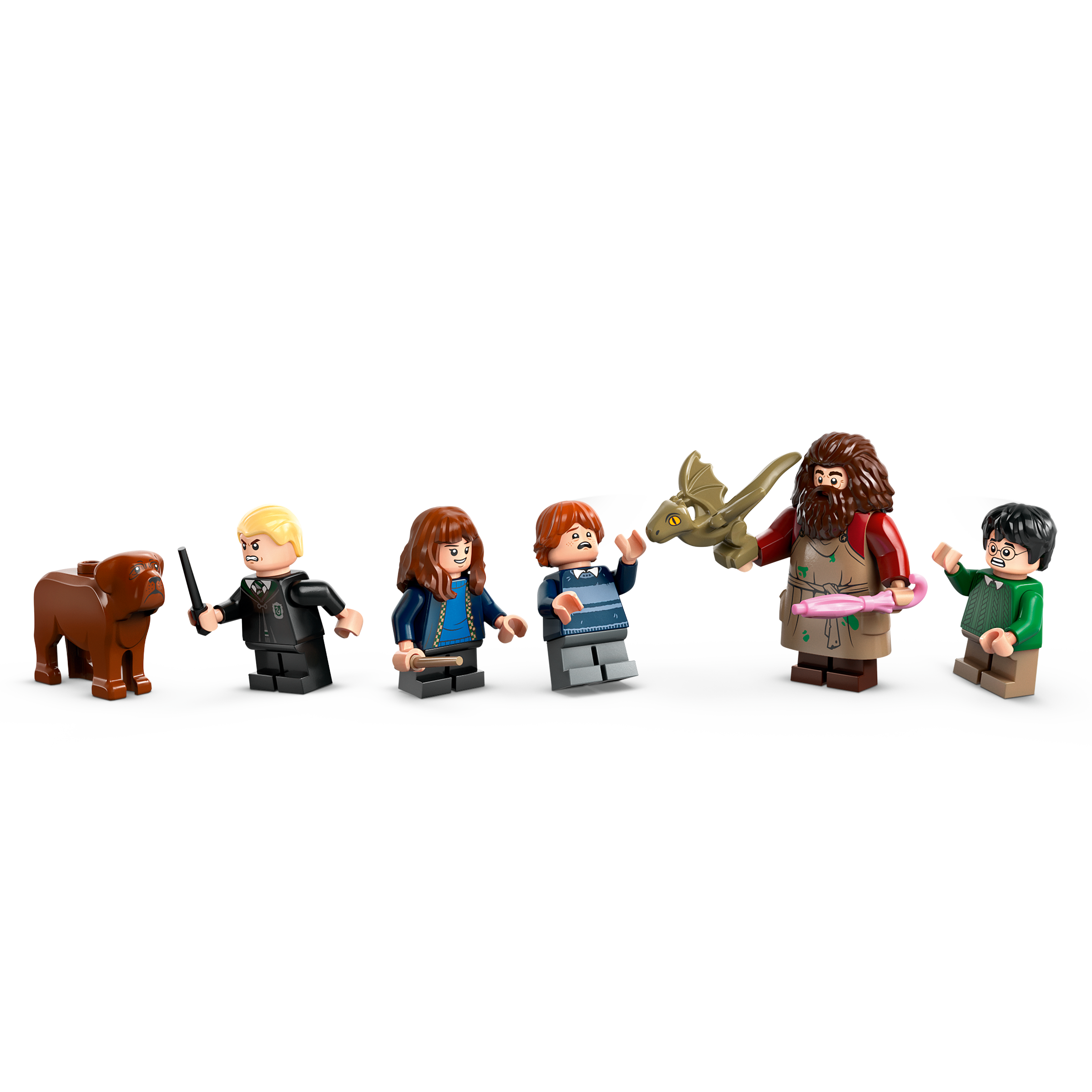 Hagrid's Hut: An Unexpected Visit - Image 8